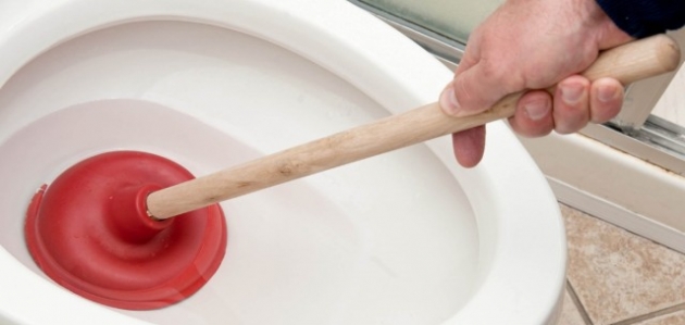 imagem sobre 11 Dicas Eficazes para Desentupir seu Vaso Sanitário